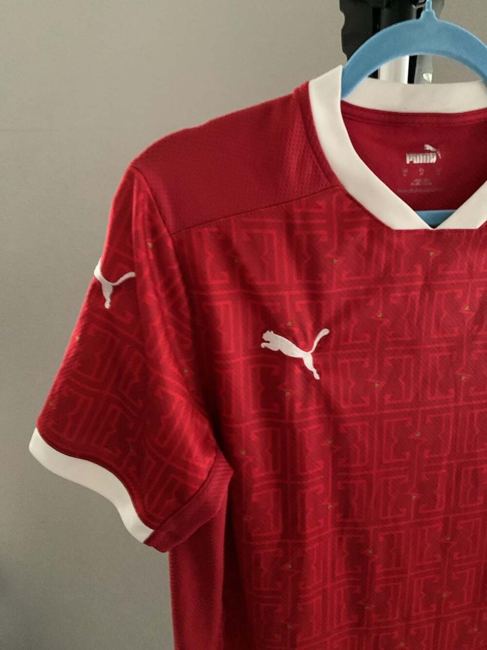 Puma Serbia 2020-2021 Men's Home Soccer Jersey - Picture 4 of 9